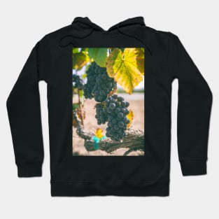 Grapes Hoodie